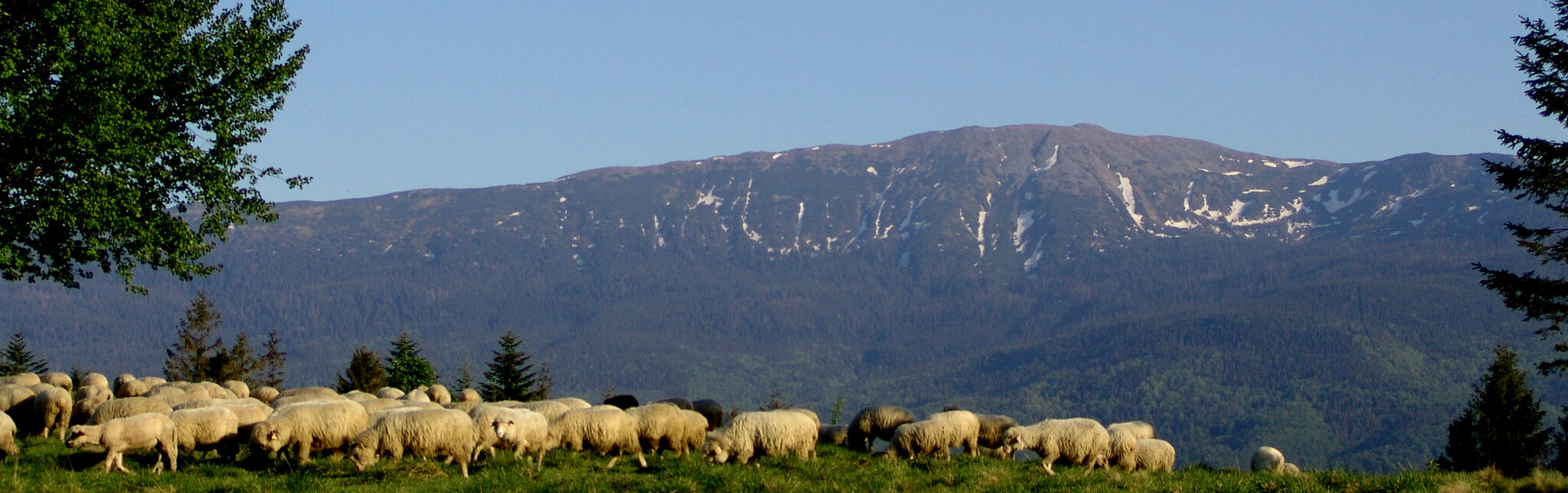 Odkryj piękno Beskidów